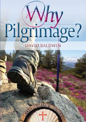 Cover of the book Why pilgrimage? by Fr Jude Winkler, OFM