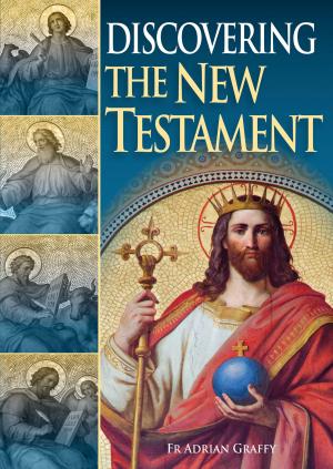 Cover of the book Discovering the New Testament by Christopher Hollis