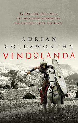 Book cover of Vindolanda