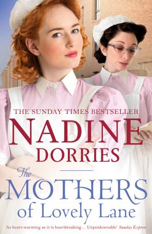 Cover of the book The Mothers of Lovely Lane by Aimée Crocker