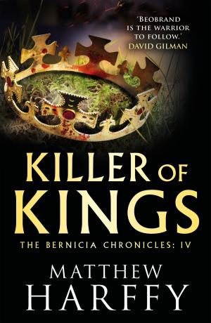 Cover of the book Killer of Kings by Jon Dziadyk