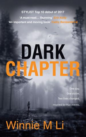 Cover of the book Dark Chapter by Joanne Graham