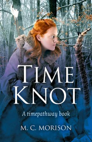 Cover of the book Time Knot by Rob Wildwood