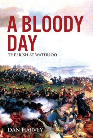 Book cover of A Bloody Day