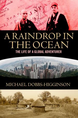 Cover of the book Raindrop in the Ocean by Alastair Humphreys
