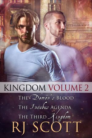 Book cover of Kingdom Volume 2