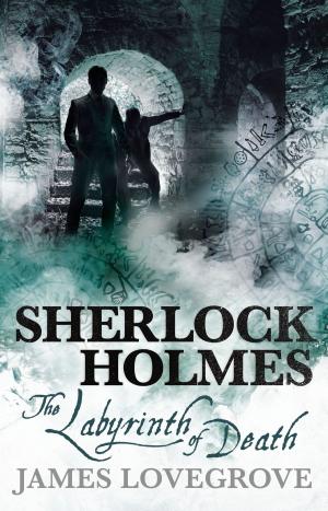 Cover of the book Sherlock Holmes - The Labyrinth of Death by Greg Cox
