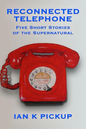 Cover of the book Reconnected Telephone by Debbie McGowan