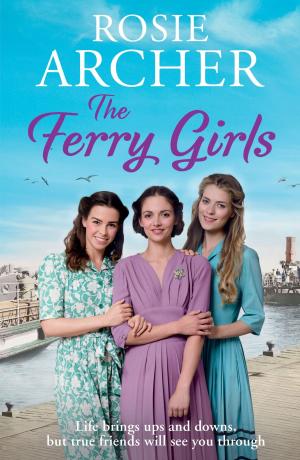 Cover of the book The Ferry Girls by Sinéad Crowley
