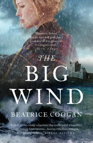 Cover of the book The Big Wind by John Barrowman, Carole Barrowman
