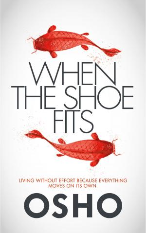 Cover of the book When the Shoe Fits by Sean Grigsby