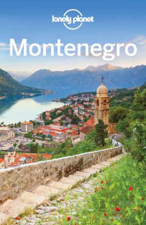 Book cover of Lonely Planet Montenegro