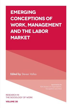 Cover of the book Emerging Conceptions of Work, Management and the Labor Market by 