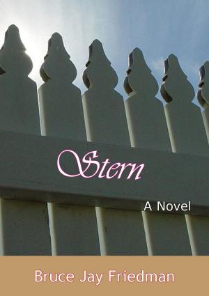 Cover of the book Stern: by Charmian Clift, George Johnson