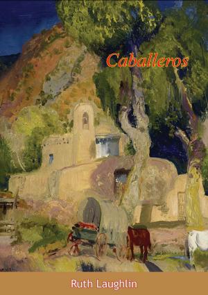 Cover of the book Caballeros by Peter Van Woerden