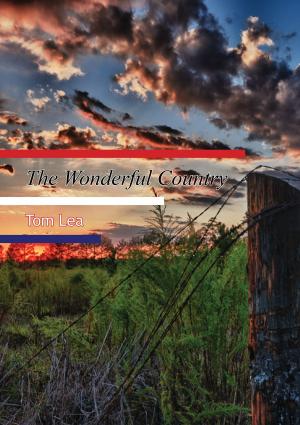 Cover of the book The Wonderful Country by Courtney Riley Cooper