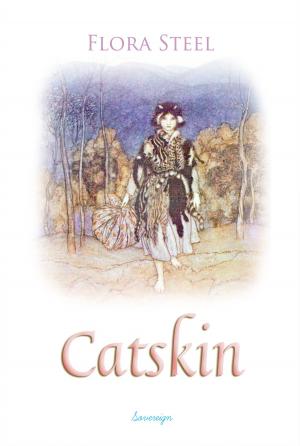 Cover of the book Catskin by W.B. Yeats