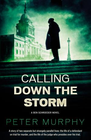 Cover of the book Calling Down the Storm by Anthony Quinn