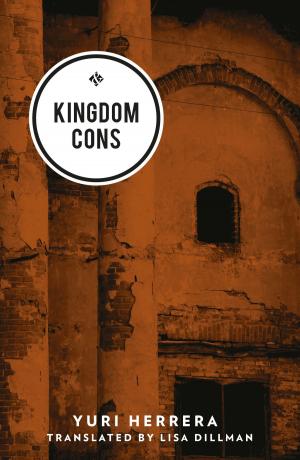 Cover of the book Kingdom Cons by Alicia Kopf