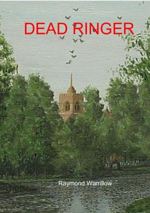 Cover of the book Dead Ringer by Raymond Warrillow
