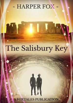 Cover of the book The Salisbury Key by Helene Wecker