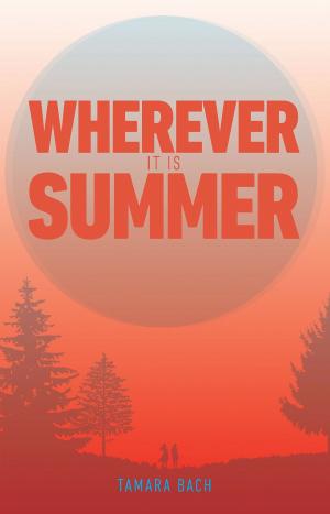 Cover of the book Wherever It Is Summer by Siobhan Parkinson