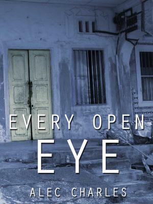 Book cover of Every Open Eye