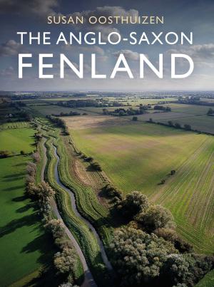 Cover of the book The Anglo-Saxon Fenland by David Villanueva