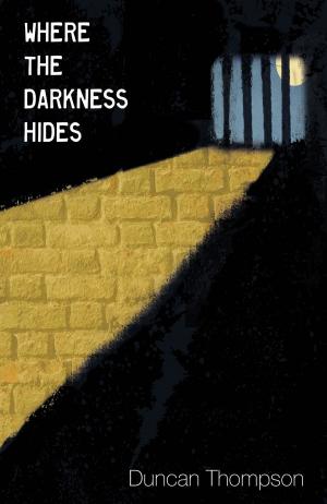 Cover of the book Where the Darkness Hides by Miles Craven