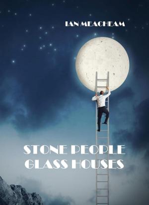 Book cover of Stone People Glass Houses