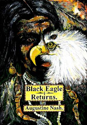 Book cover of Black Eagle Returns