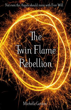 Book cover of The Twin Flame Rebellion