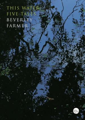 Cover of the book This Water by Beverley Farmer