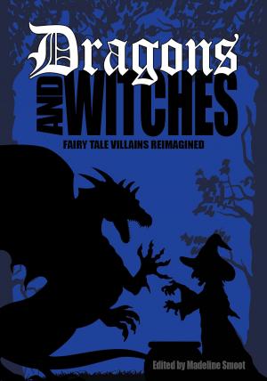 Cover of the book Dragons and Witches by PJ Hoover