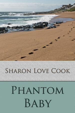 Cover of the book Phantom Baby by Steve Leggett