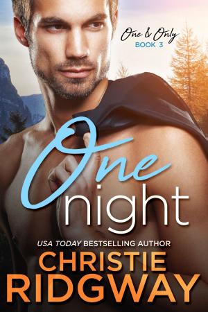 Cover of the book One Night (One & Only Book 3) by Christie Ridgway