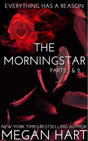 Cover of the book The Morningstar by Lee Edward McIlmoyle