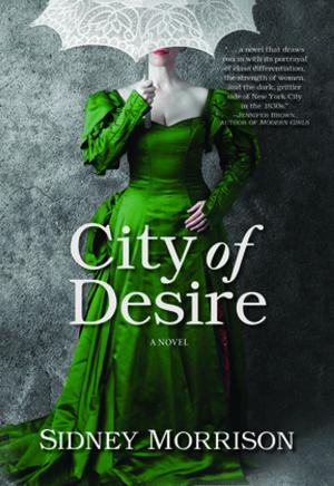 Cover of the book City of Desire by Ms. Denise Kester
