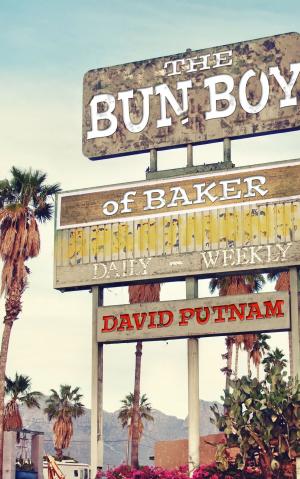 Book cover of The Bun Boy of Baker