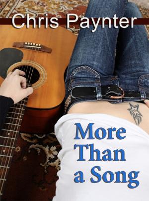Book cover of More Than a Song
