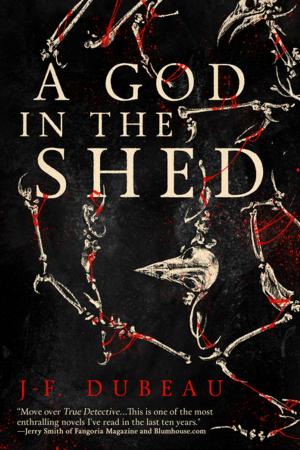 Cover of the book A God in the Shed by Julie Strauss Bettinger