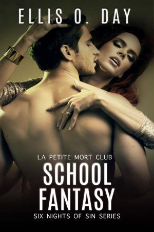Cover of the book School Fantasy by Ellis O. Day