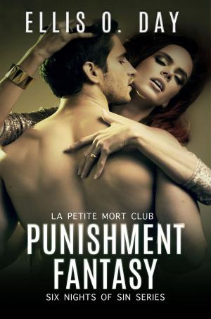 Book cover of Punishment Fantasy