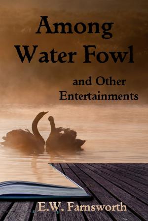 Cover of the book Among Water Fowl and Other Entertainments by Zimbell House Publishing, Isabella Cheung, E. W. Farnsworth, Melissa Marguerite, James Romansky, Wendy Steele