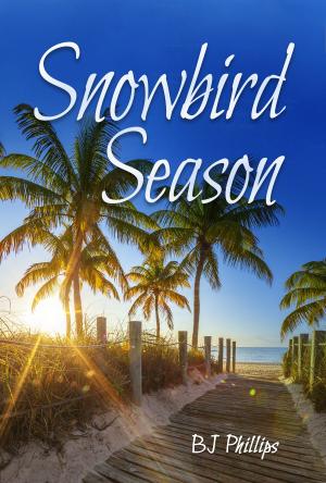 Cover of the book Snowbird Season by AJ Adaire
