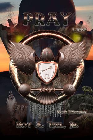 Book cover of Pray: The Iron Eagle Series: Book Thirteen
