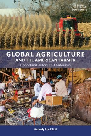 Cover of the book Global Agriculture and the American Farmer by Bruce D. Jones, David Steven