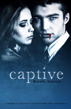 Cover of the book Captive by Sharon Linnea
