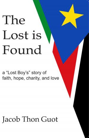 bigCover of the book The Lost is Found by 