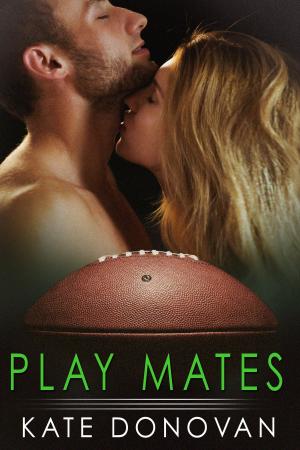 Cover of the book Play Mates by Ellery Adams